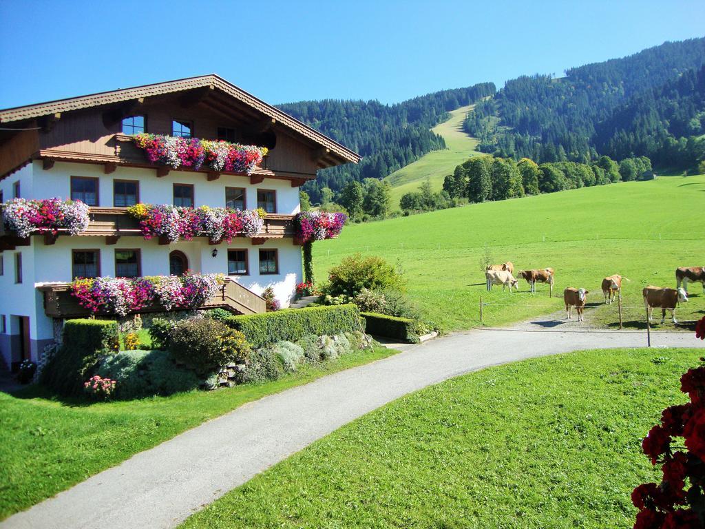 Sixenhof Apartman Niederau Kültér fotó