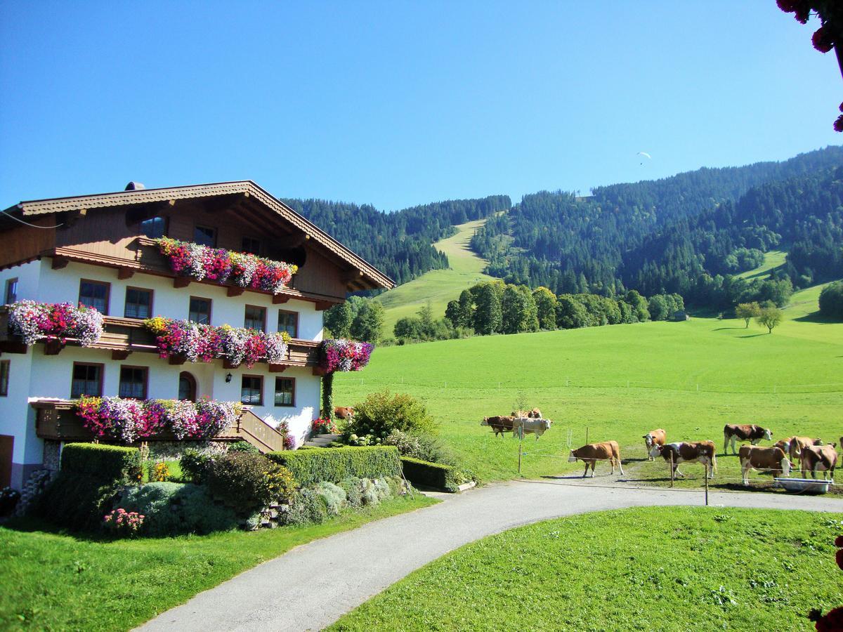 Sixenhof Apartman Niederau Kültér fotó